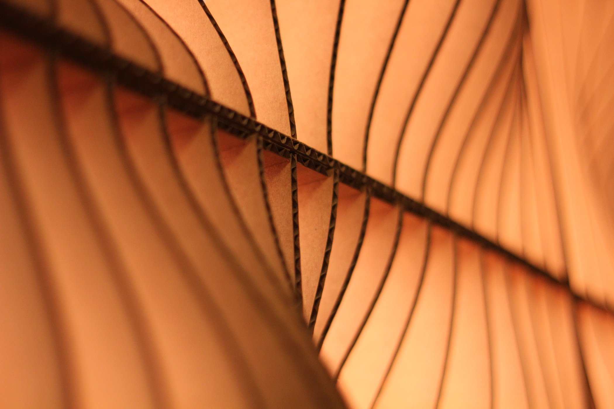 Algorithms in nature drive architecture research, parametric designs